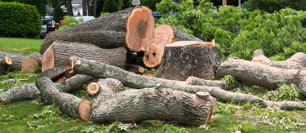 Best Landscape Design and Installation  in Munford, TN